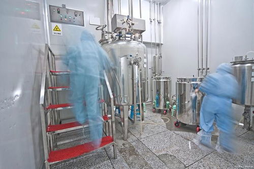 遼寧樂金建設 寧安市食品工廠凈化裝修中加藥泵的關鍵作用與技術要點